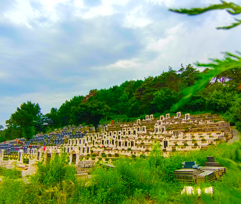 遼寧大河貝生態息園